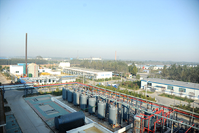 請(qǐng)?zhí)顚憳?biāo)題